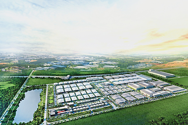 Beauty Machines Group