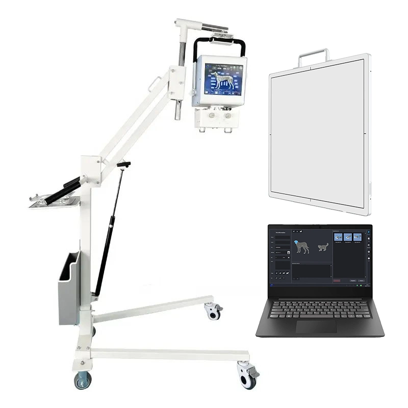 Portable X-ray Medical Digtal Veterinary Dr Xray Equipment